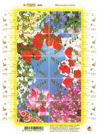 Dutch postage stamp, flower stamp, blooming stamp, Dutch TNT, dutch postal service, flowering stamp, flower stamps 2